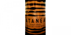 Antanea Pinot Noir logo