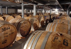 Rows of wooden cognac barrels in cellar