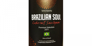 Brazilian Soul-Cabernet Sauvignon logo