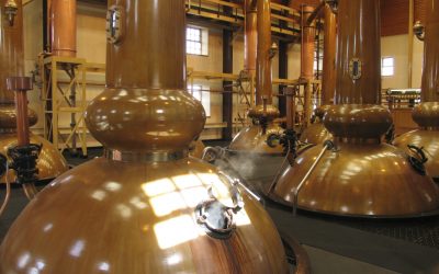 Craft distillers exploring new flavors of gin