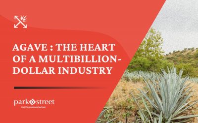 Simplifying the Agave Spirits Supply Chain