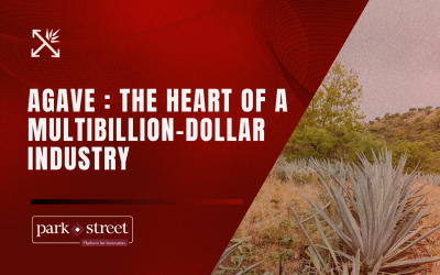 Simplifying the Agave Spirits Supply Chain