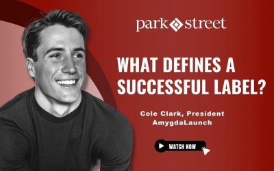 What Defines a Successful Label?