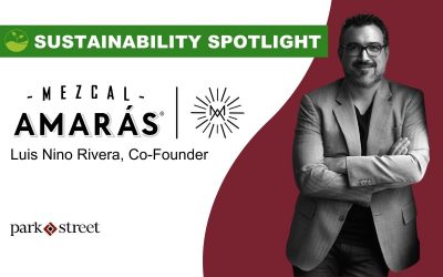 Sustainability Spotlight: Mezcal Amaras