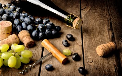 Chardonnay continues steady growth in Washington