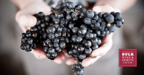 bulk wine and spirits show grapes